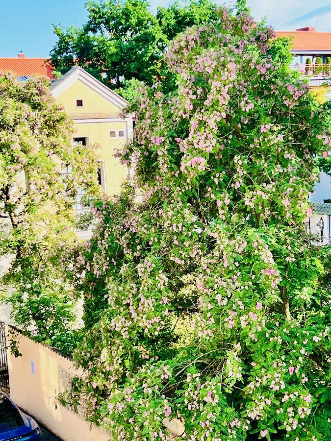 Super Apartment Old Town Klaipėda Exteriér fotografie